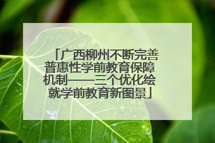 广西柳州不断完善普惠性学前教育保障机制——三个优化绘就学前教育新图景