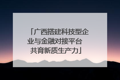 广西搭建科技型企业与金融对接平台 共育新质生产力