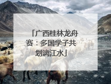 广西桂林龙舟赛：多国学子共划漓江水