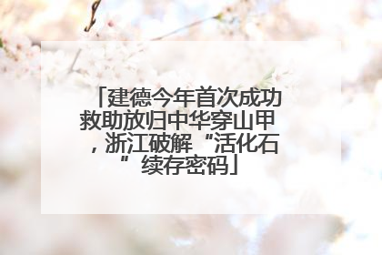 建德今年首次成功救助放归中华穿山甲，浙江破解“活化石”续存密码
