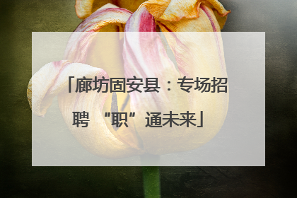 廊坊固安县：专场招聘 “职”通未来