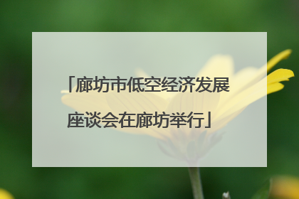 廊坊市低空经济发展座谈会在廊坊举行