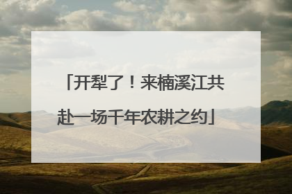 开犁了！来楠溪江共赴一场千年农耕之约