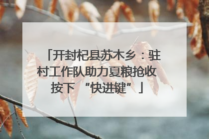 开封杞县苏木乡：驻村工作队助力夏粮抢收按下 “快进键”