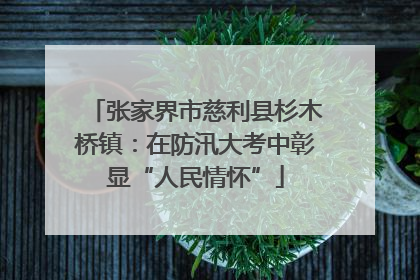 张家界市慈利县杉木桥镇：在防汛大考中彰显“人民情怀”