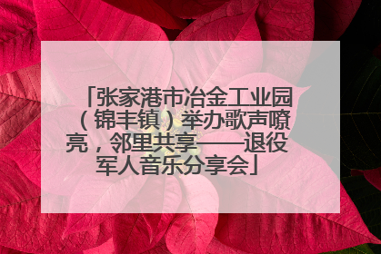 张家港市冶金工业园（锦丰镇）举办歌声嘹亮，邻里共享——退役军人音乐分享会