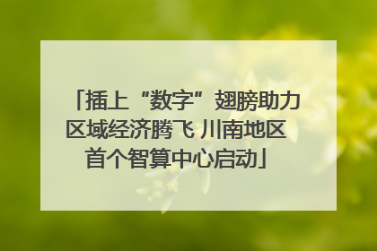 插上“数字”翅膀助力区域经济腾飞 川南地区首个智算中心启动