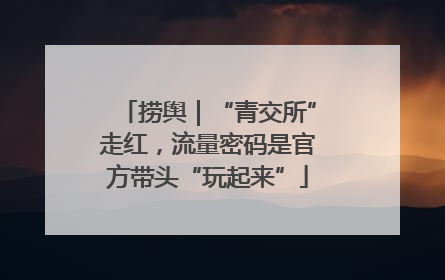 捞舆｜“青交所”走红，流量密码是官方带头“玩起来”