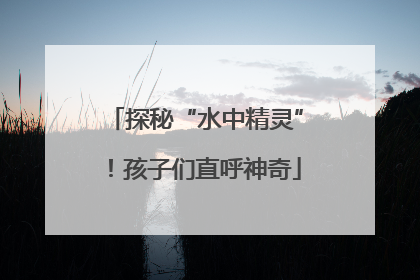 探秘“水中精灵”！孩子们直呼神奇