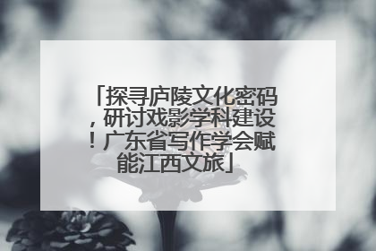 探寻庐陵文化密码，研讨戏影学科建设！广东省写作学会赋能江西文旅