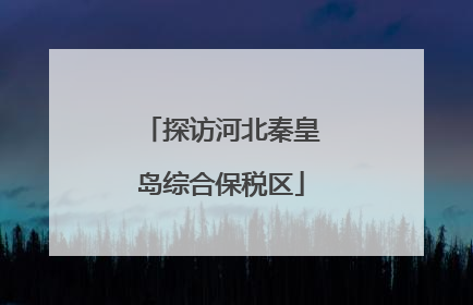 探访河北秦皇岛综合保税区