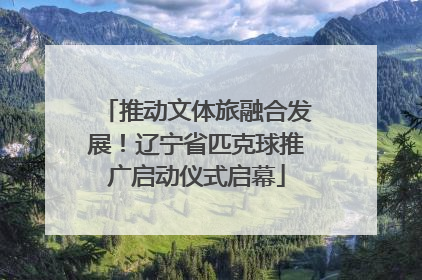推动文体旅融合发展！辽宁省匹克球推广启动仪式启幕