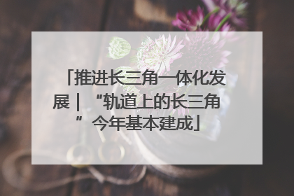 推进长三角一体化发展｜“轨道上的长三角”今年基本建成