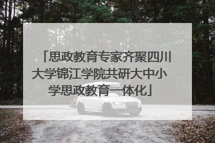 思政教育专家齐聚四川大学锦江学院共研大中小学思政教育一体化