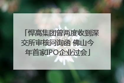 悍高集团曾两度收到深交所审核问询函 佛山今年首家IPO企业过会