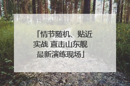 情节随机、贴近实战 直击山东舰最新演练现场
