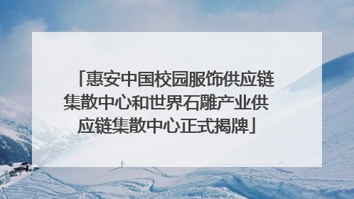 惠安中国校园服饰供应链集散中心和世界石雕产业供应链集散中心正式揭牌