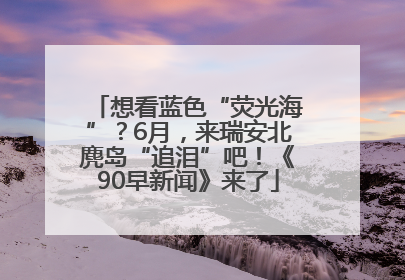 想看蓝色“荧光海”？6月，来瑞安北麂岛“追泪”吧！《90早新闻》来了