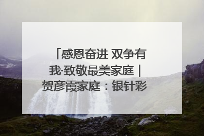 感恩奋进 双争有我·致敬最美家庭｜贺彦霞家庭：银针彩线绣出好日子