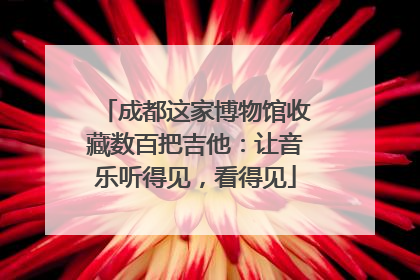 成都这家博物馆收藏数百把吉他：让音乐听得见，看得见