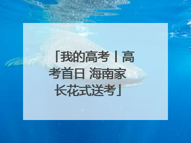 我的高考丨高考首日 海南家长花式送考