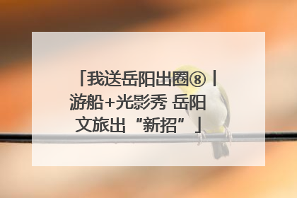 我送岳阳出圈⑧丨游船+光影秀 岳阳文旅出“新招”