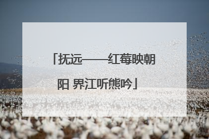 抚远——红莓映朝阳 界江听熊吟