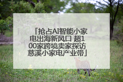 抢占AI智能小家电出海新风口 超100家跨境卖家探访慈溪小家电产业带