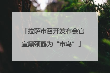 拉萨市召开发布会官宣黑颈鹤为“市鸟”