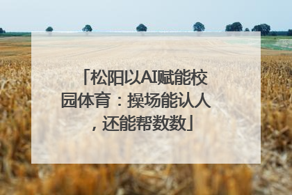 松阳以AI赋能校园体育：操场能认人，还能帮数数