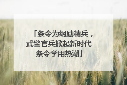 条令为纲励精兵，武警官兵掀起新时代条令学用热潮