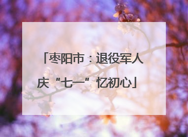 枣阳市：退役军人庆“七一”忆初心
