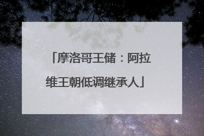 摩洛哥王储：阿拉维王朝低调继承人