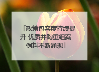 政策包容度持续提升 优质并购重组案例料不断涌现