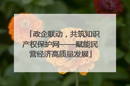 政企联动，共筑知识产权保护网——赋能民营经济高质量发展