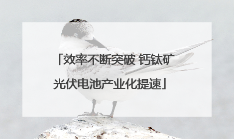 效率不断突破 钙钛矿光伏电池产业化提速