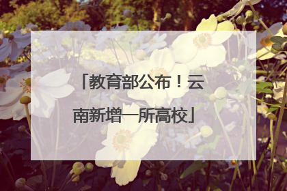 教育部公布！云南新增一所高校