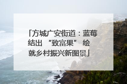 方城广安街道：蓝莓结出 “致富果” 绘就乡村振兴新图景