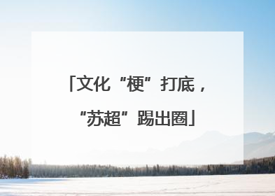 文化“梗”打底，“苏超”踢出圈