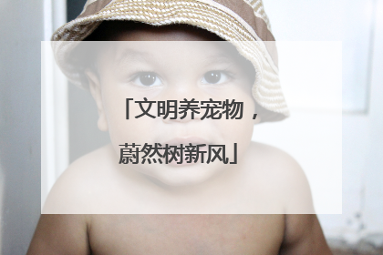 文明养宠物，蔚然树新风
