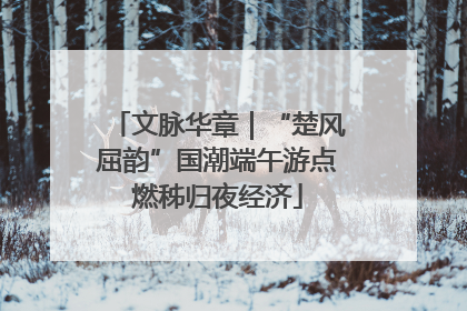 文脉华章｜“楚风屈韵”国潮端午游点燃秭归夜经济