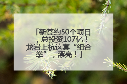 新签约50个项目，总投资107亿！龙岩上杭这套“组合拳”，漂亮！