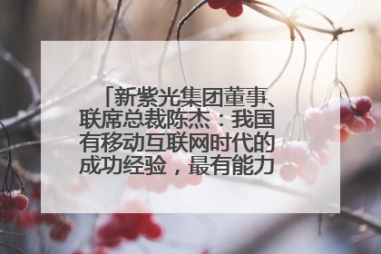 新紫光集团董事、联席总裁陈杰：我国有移动互联网时代的成功经验，最有能力做好AI应用创新