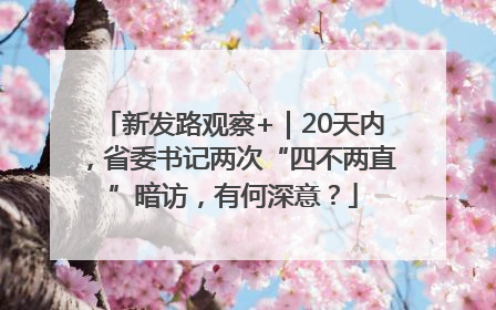 新发路观察+｜20天内，省委书记两次“四不两直”暗访，有何深意？