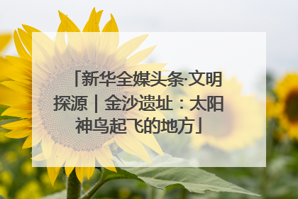新华全媒头条·文明探源｜金沙遗址：太阳神鸟起飞的地方