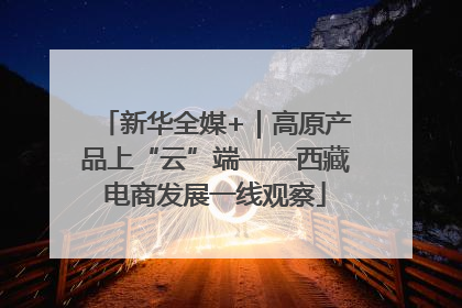 新华全媒+｜高原产品上“云”端——西藏电商发展一线观察
