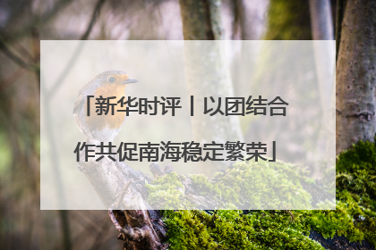 新华时评丨以团结合作共促南海稳定繁荣