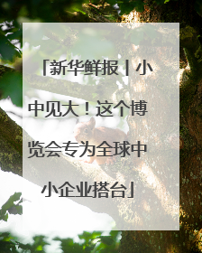 新华鲜报丨小中见大！这个博览会专为全球中小企业搭台