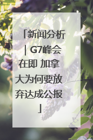新闻分析｜G7峰会在即 加拿大为何要放弃达成公报