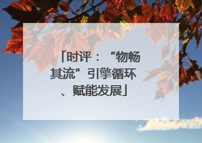 时评：“物畅其流”引擎循环、赋能发展